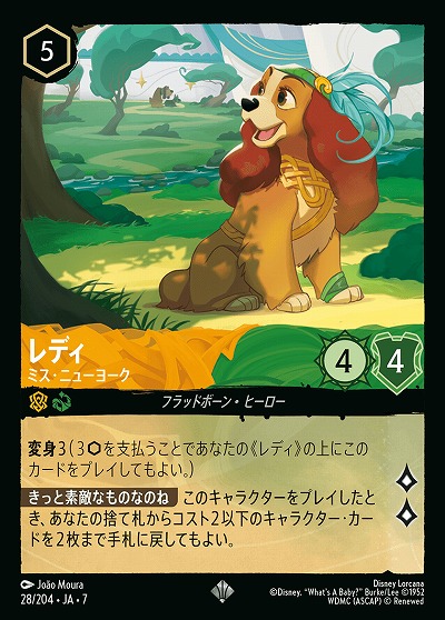 レディ(ホイル) 【AI/028/204SRH】